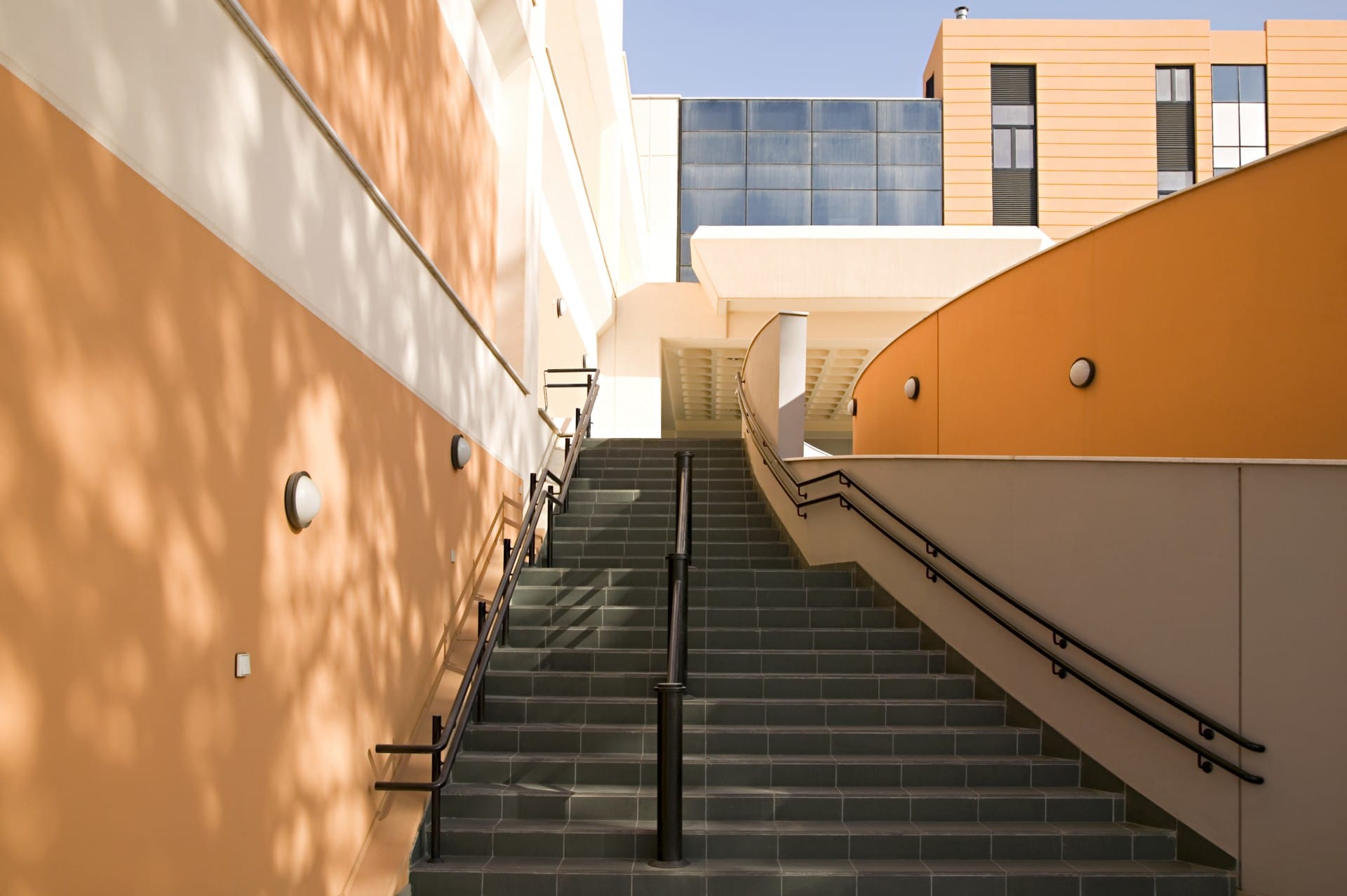 Campus Library & Study Resources