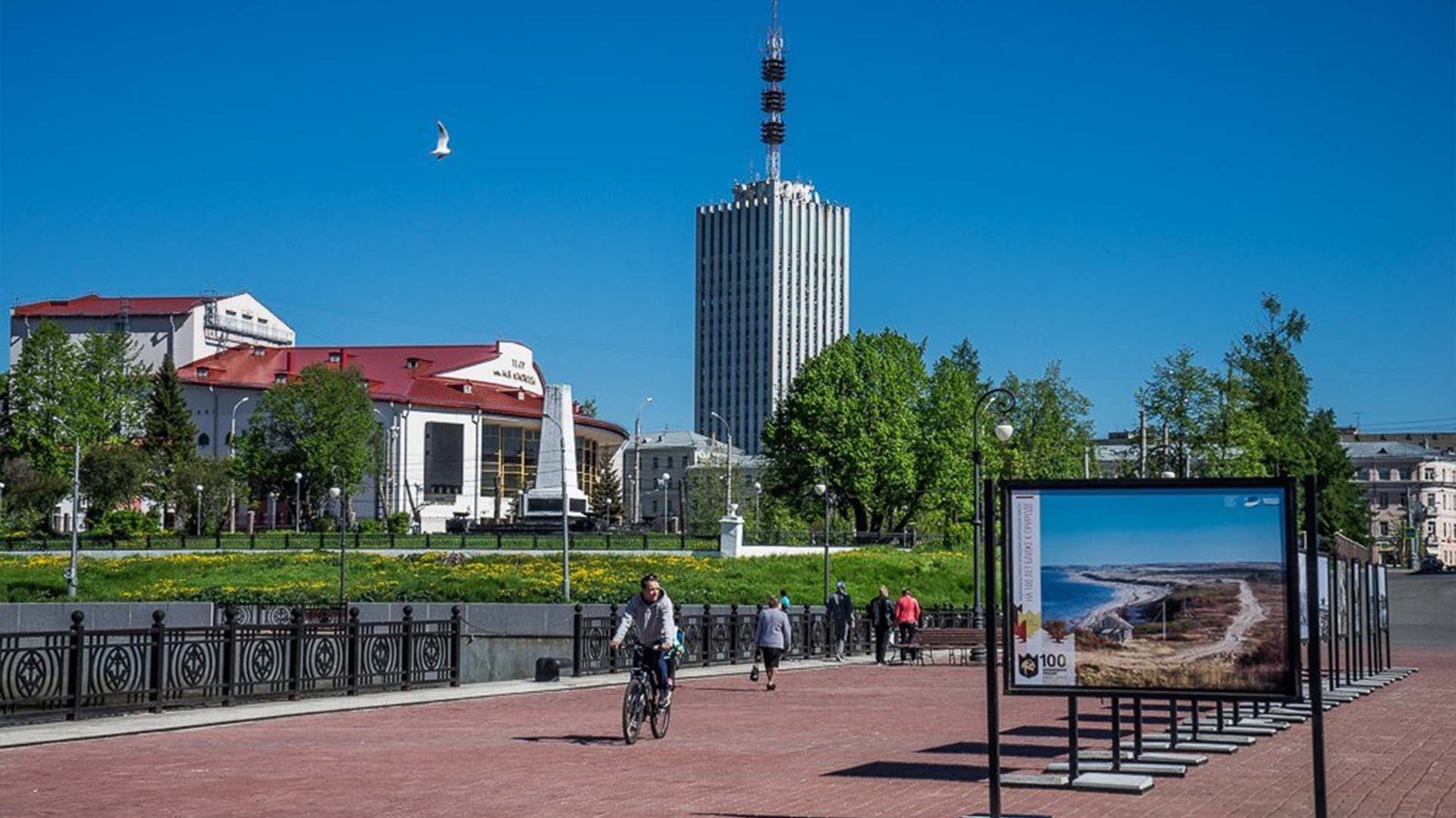 Library & Study Area